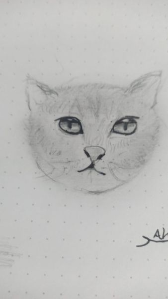 whatsapp image 2024 01 28 at 18.49.52ee17944